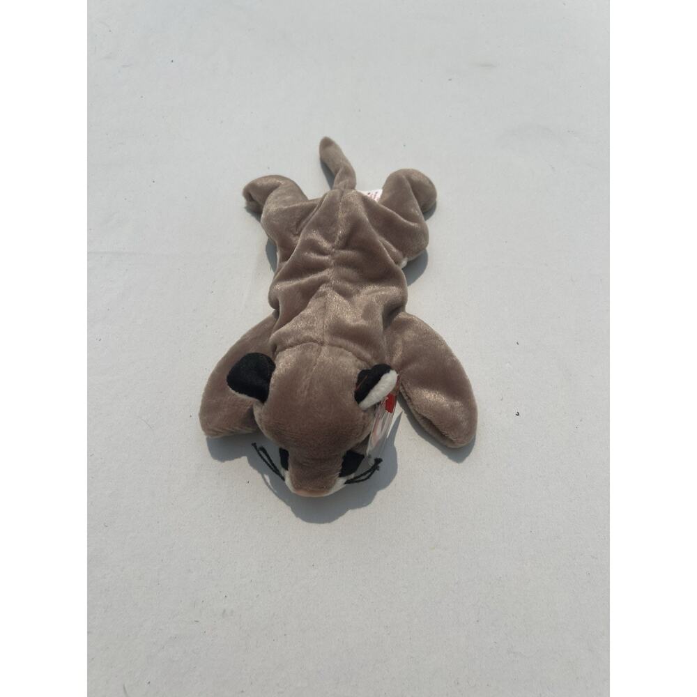 TY Beanie Baby Babies CANYON The Cougar P.E. Pellets TAG ERRORS Vintage 1998